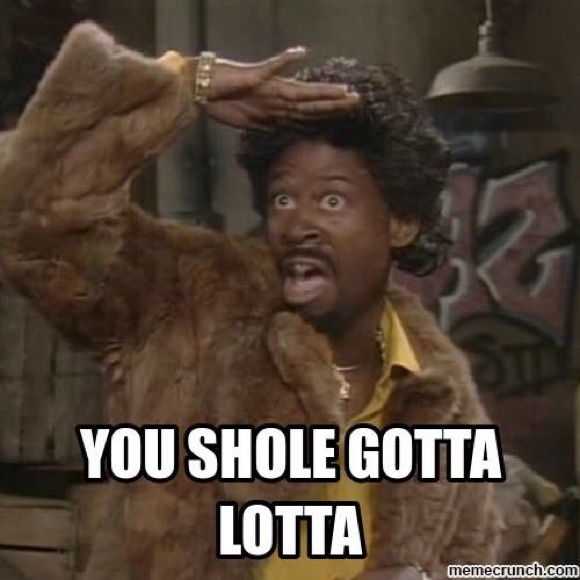 Meet your Posher, Ruby - Picture 2 of 16